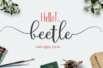Beetle Duo Font: a Playful Pair for Creative Design Projects