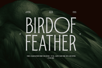 Bird of Feather: a Creative Font Design Project